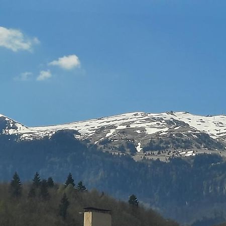 Apartament Erika Sinaia Esterno foto