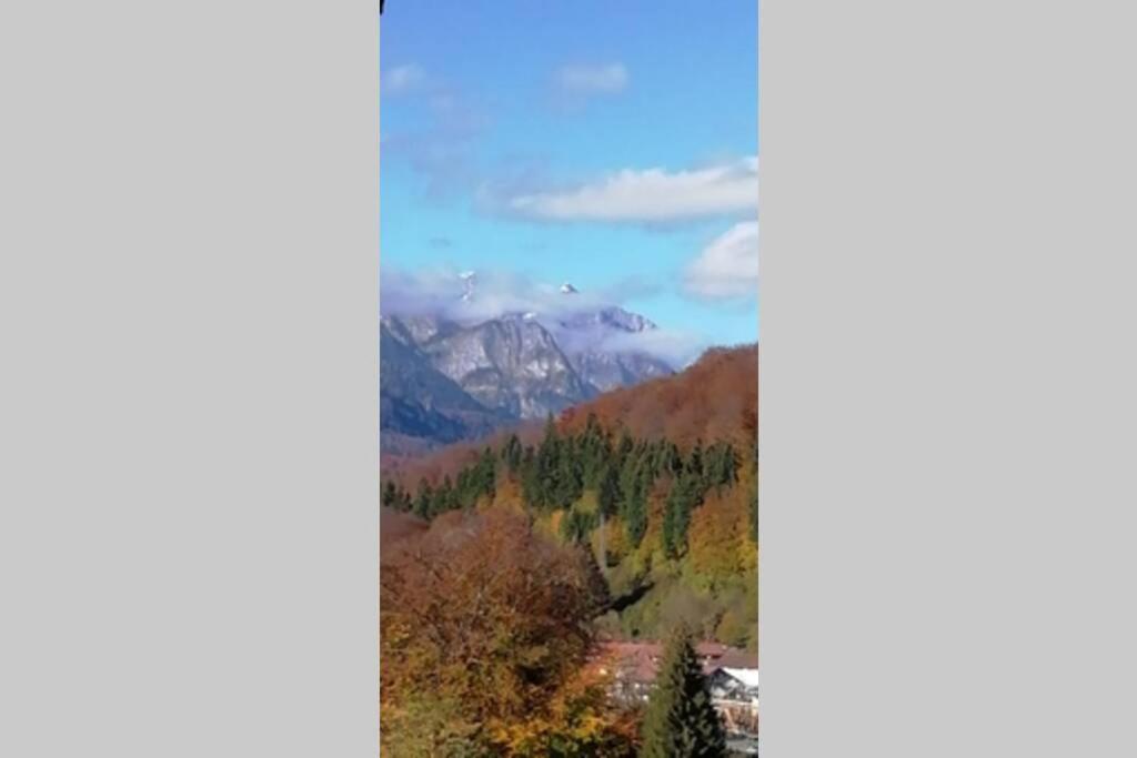 Apartament Erika Sinaia Esterno foto