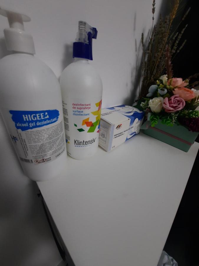 Apartament Erika Sinaia Esterno foto