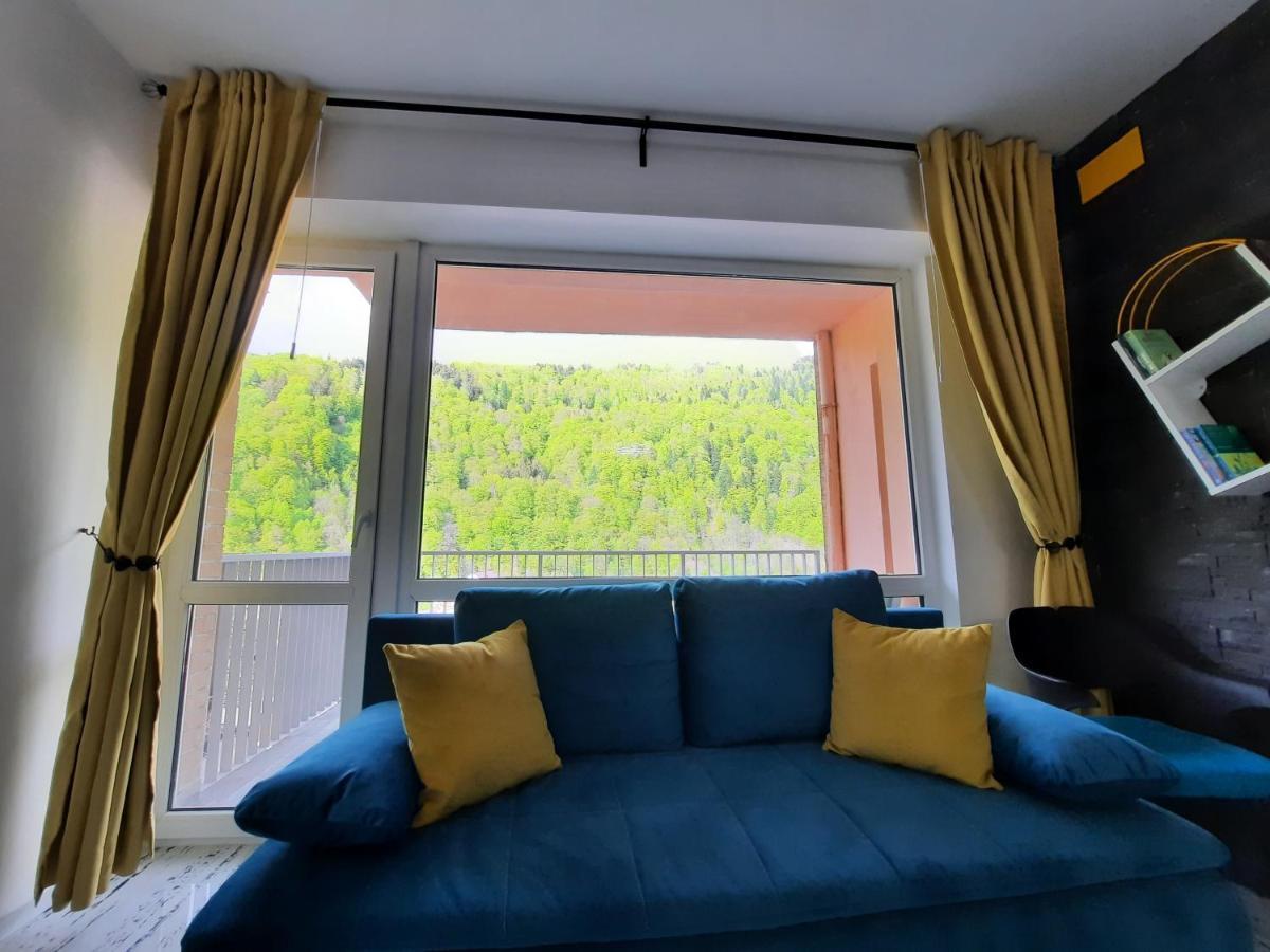 Apartament Erika Sinaia Esterno foto