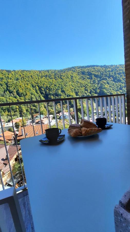 Apartament Erika Sinaia Esterno foto