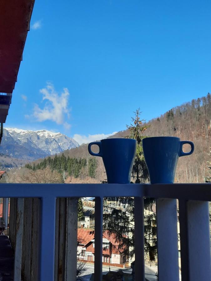 Apartament Erika Sinaia Esterno foto