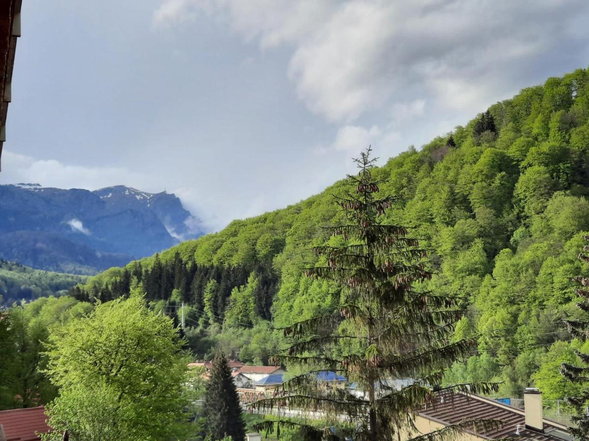 Apartament Erika Sinaia Esterno foto