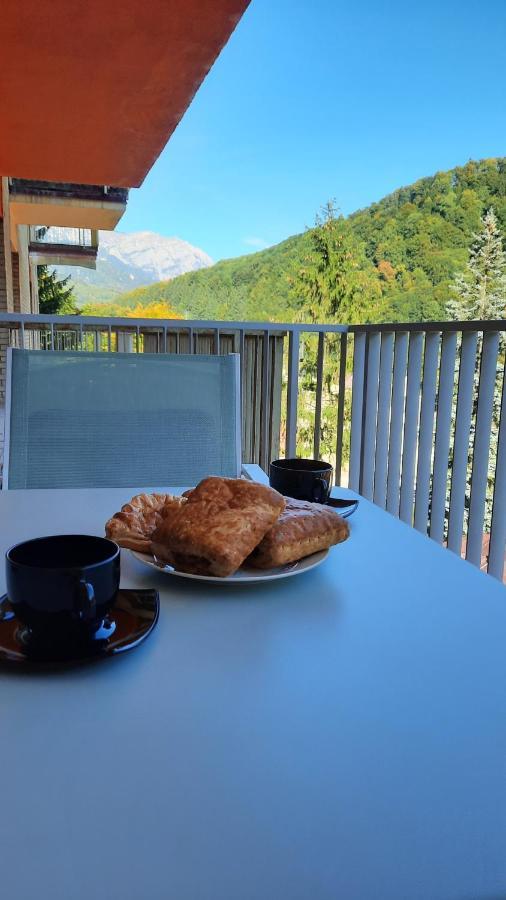 Apartament Erika Sinaia Esterno foto