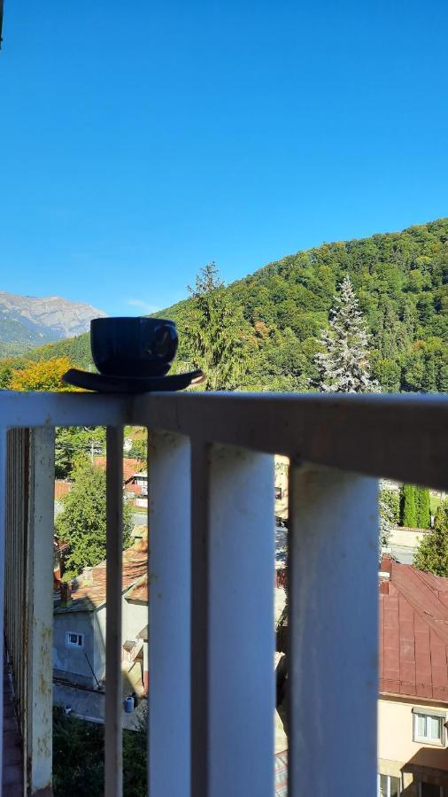 Apartament Erika Sinaia Esterno foto