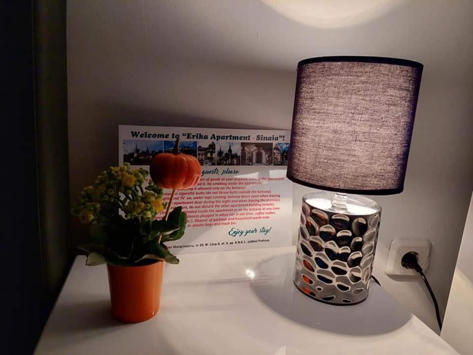 Apartament Erika Sinaia Esterno foto