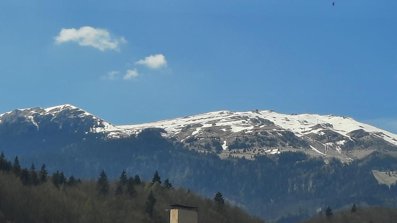 Apartament Erika Sinaia Esterno foto